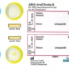 Karty przyłóżkowe AB0 do oznaczania grup krwi przed transfuzją
